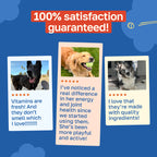 10-in-1 Multivitamin Dog Supplement | Daily Nutritional Support