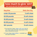 10-in-1 Multivitamin Dog Supplement | Daily Nutritional Support