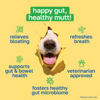 Probiotic Dog Supplement | Gastrointestinal Support