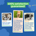 Probiotic Dog Supplement | Gastrointestinal Support