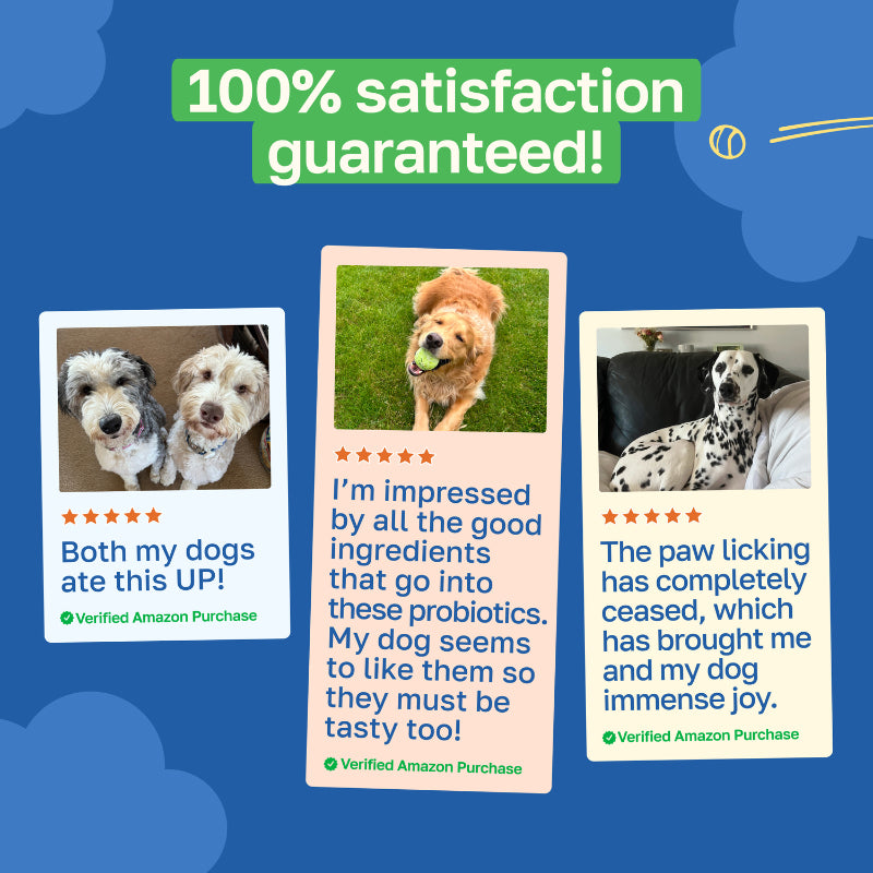 Probiotic Dog Supplement | Gastrointestinal Support