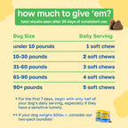 Probiotic Dog Supplement | Gastrointestinal Support