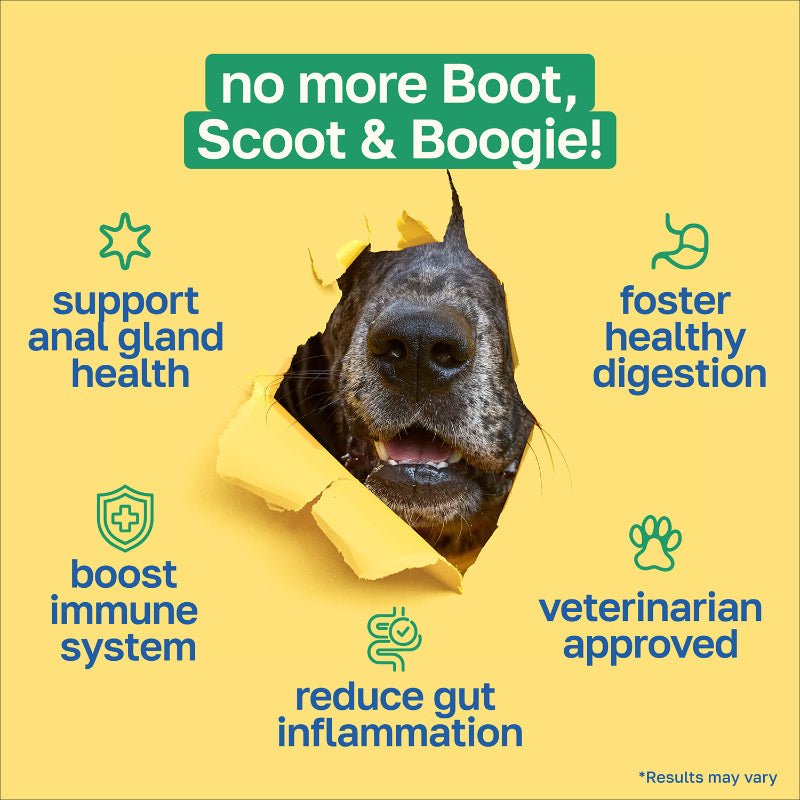 Scoot Stop Dog Supplement | Anal Gland Support