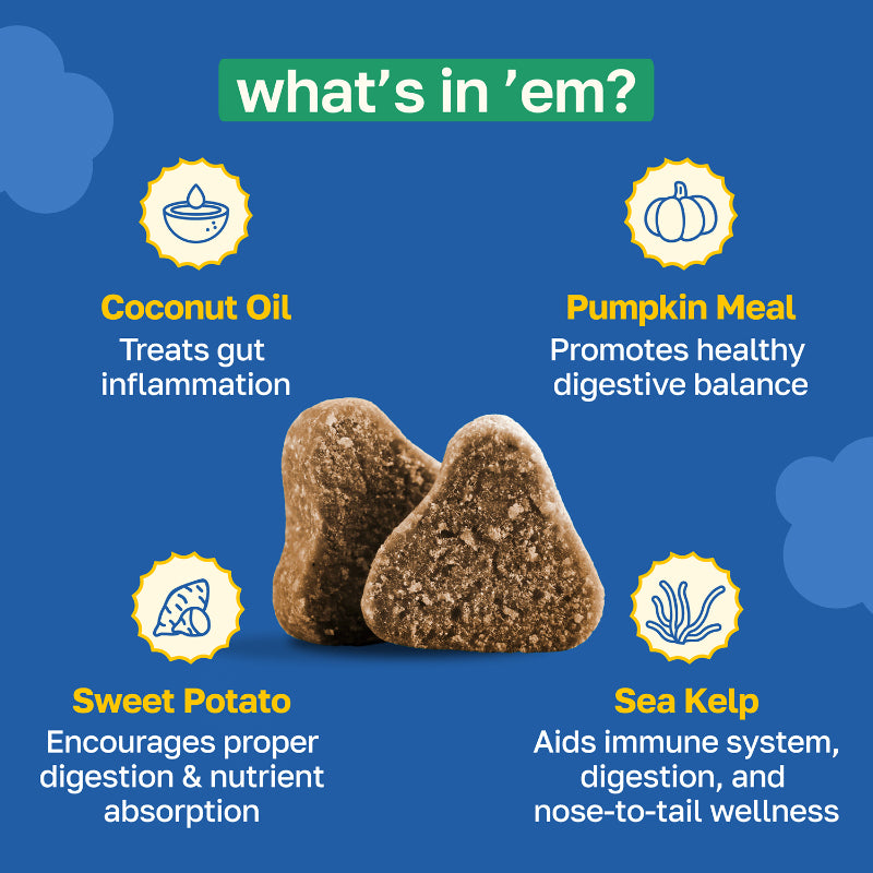 Scoot Stop Dog Supplement | Anal Gland Support