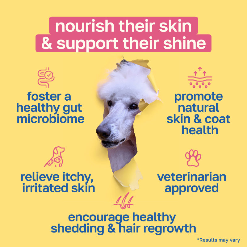 Dog Supplement for Skin and Coat | With Biotin and Coconut Oil