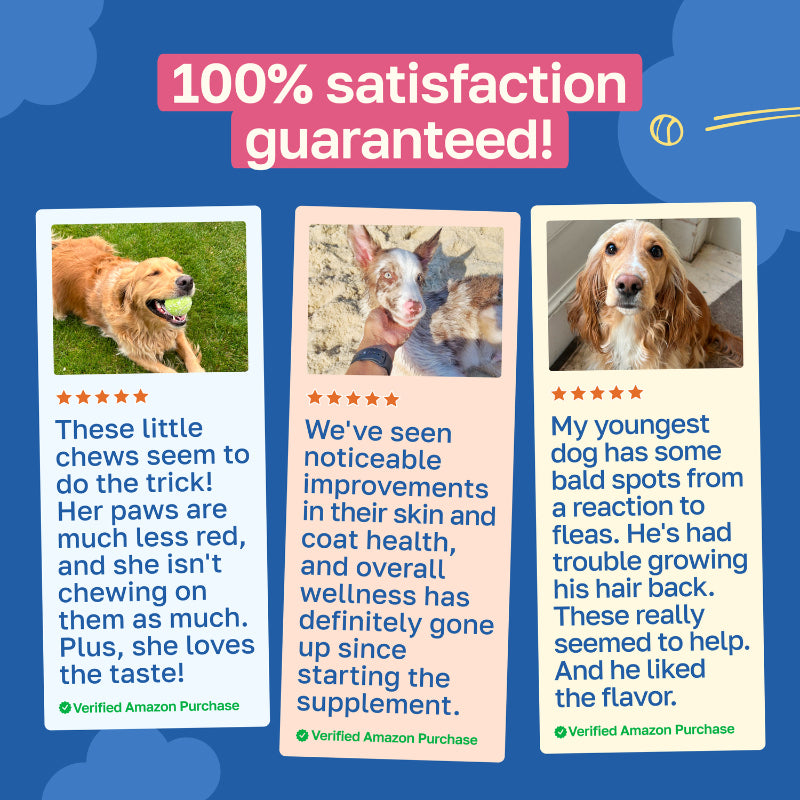 Dog Supplement for Skin and Coat | With Biotin and Coconut Oil