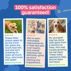 Dog Supplement for Skin and Coat | With Biotin and Coconut Oil