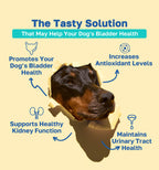 bladder the tasty solution pdp image 