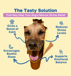 calming the tasty solution pdp image 