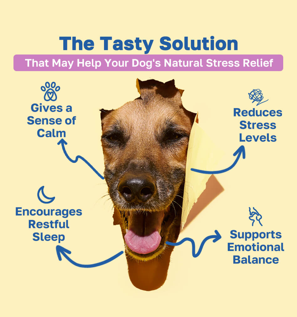 calming the tasty solution pdp image 