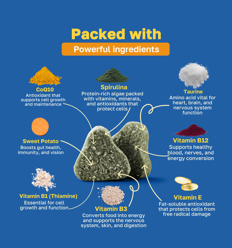 cognitive packed with ingredients pdp image 