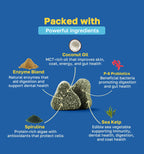 dental packed with ingredients pdp image 