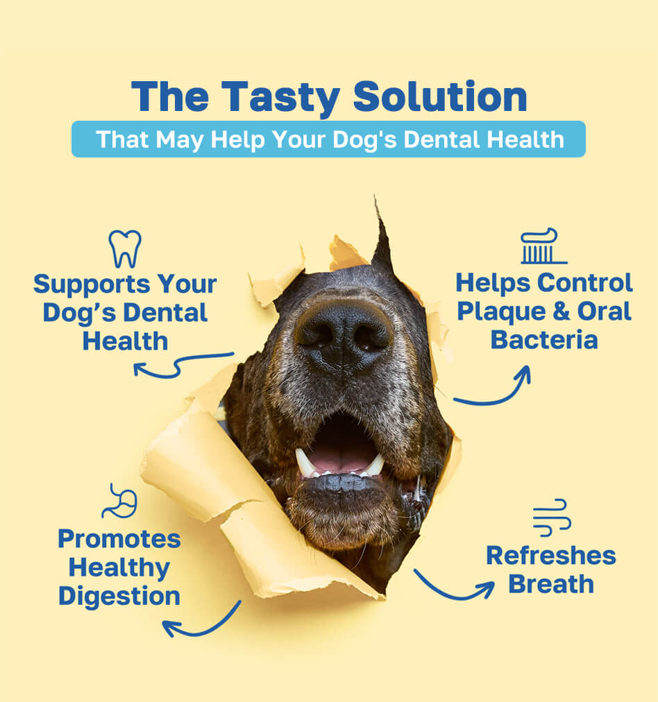 dental the tasty solution pdp image 