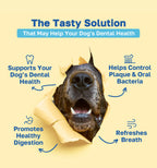 dental the tasty solution pdp image 
