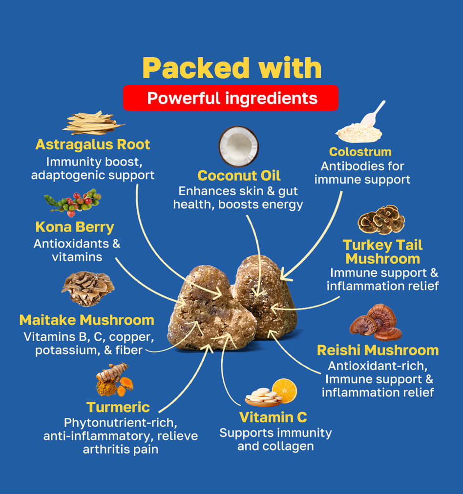 Allergy Supplement for Dogs | Daily Immune Support