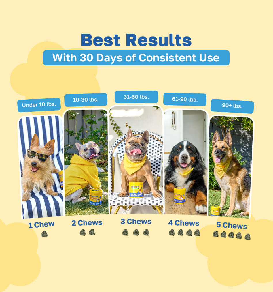 Lawn Saver Dog Supplement | With Enzymes and Probiotics