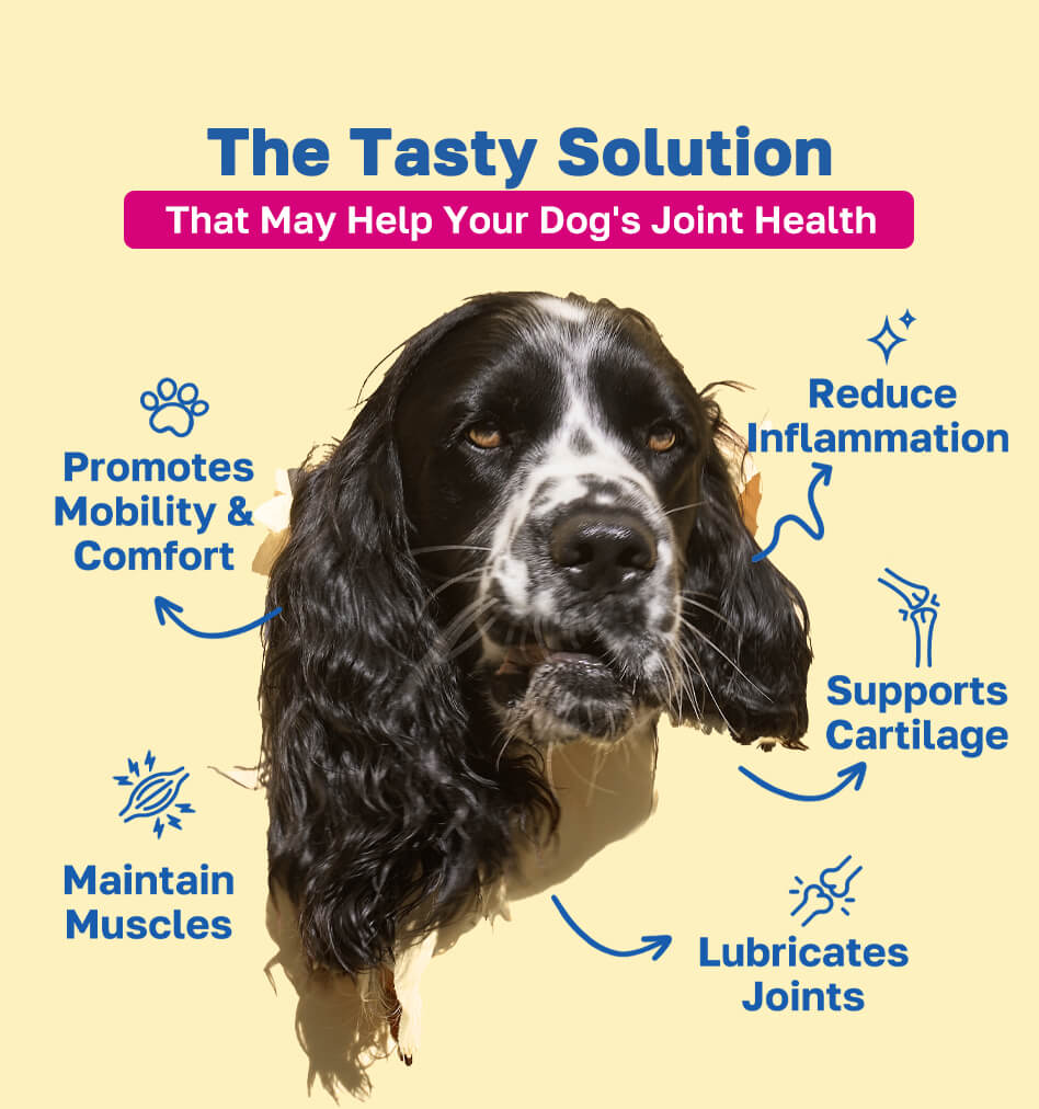 mobility the tasty solution pdp image 