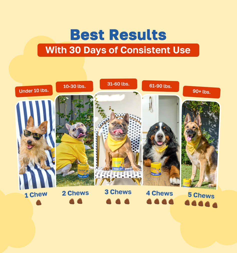 multivitamin best results pdp image 
