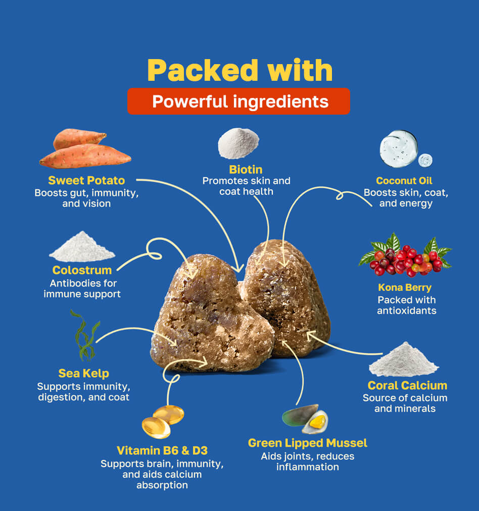 multivitamin packed with ingredients pdp image 