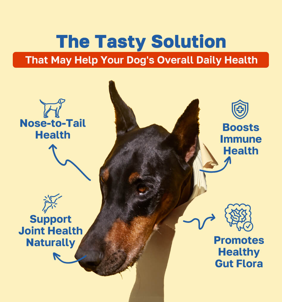 multivitamin the tasty solution pdp image 