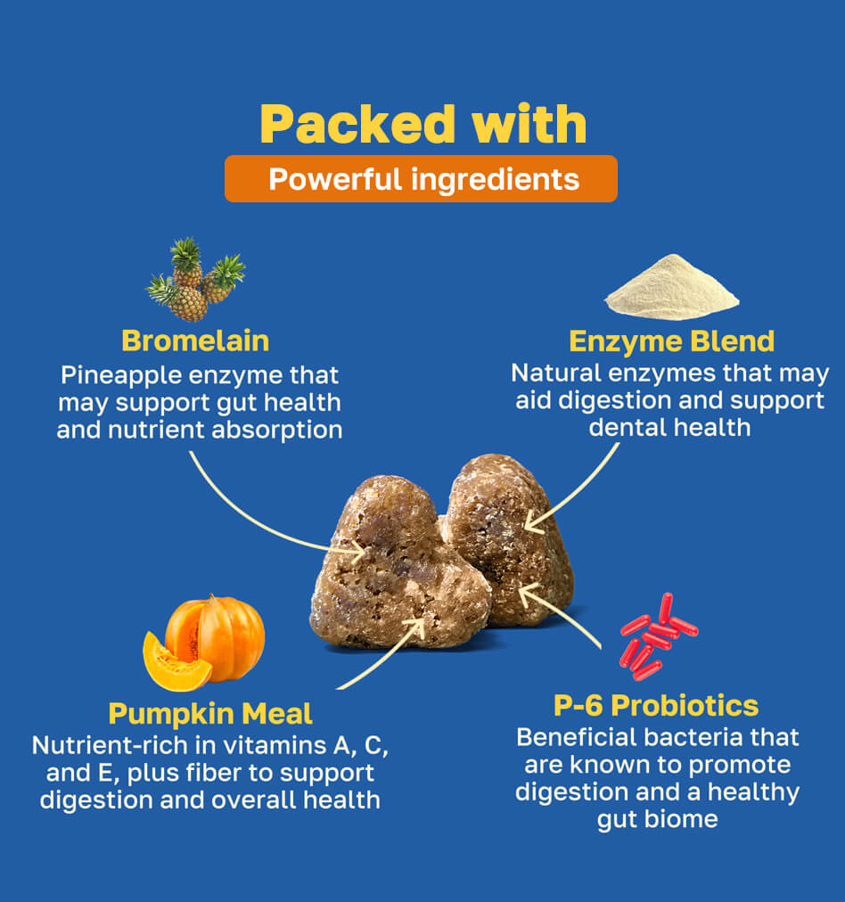 no poo packed with ingredients pdp image 