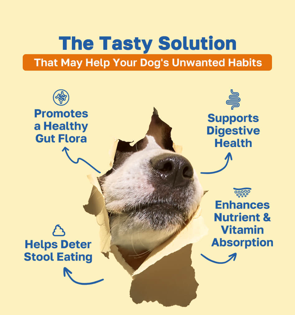 no poo the tasty solution pdp image 