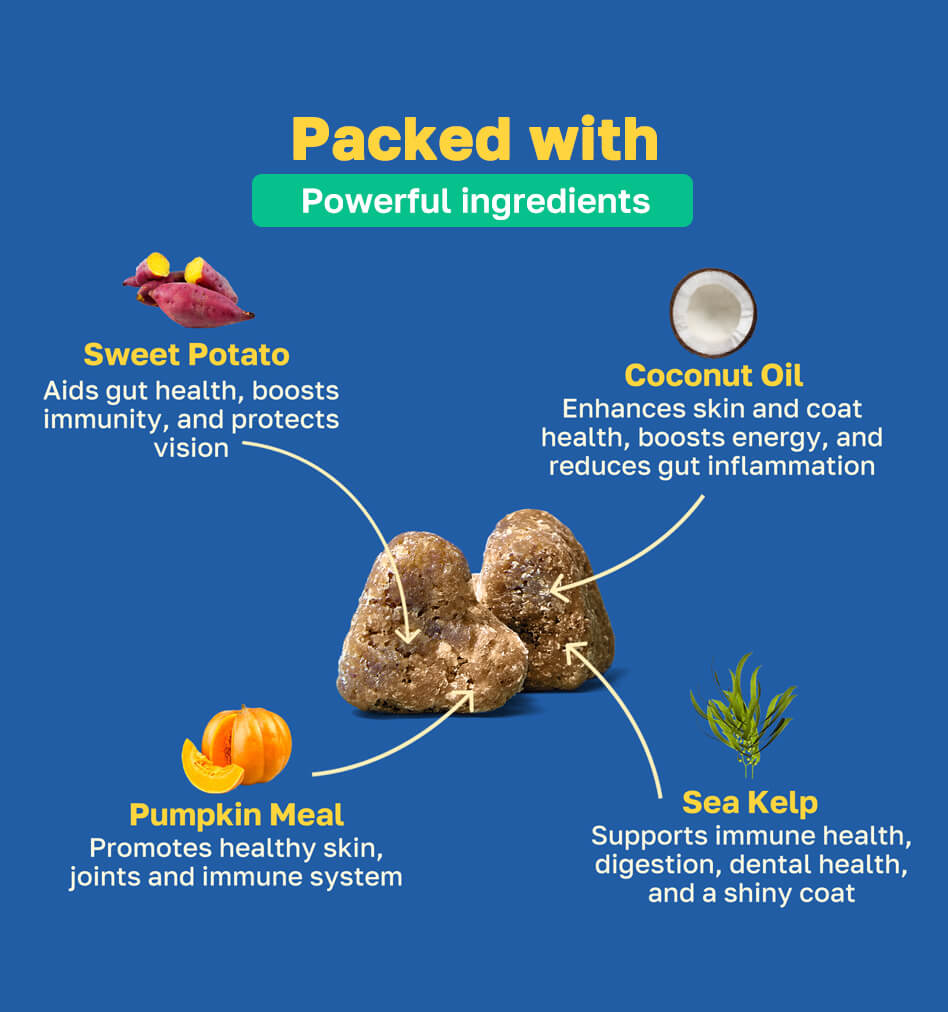 Scoot Stop packed with pdp image 
