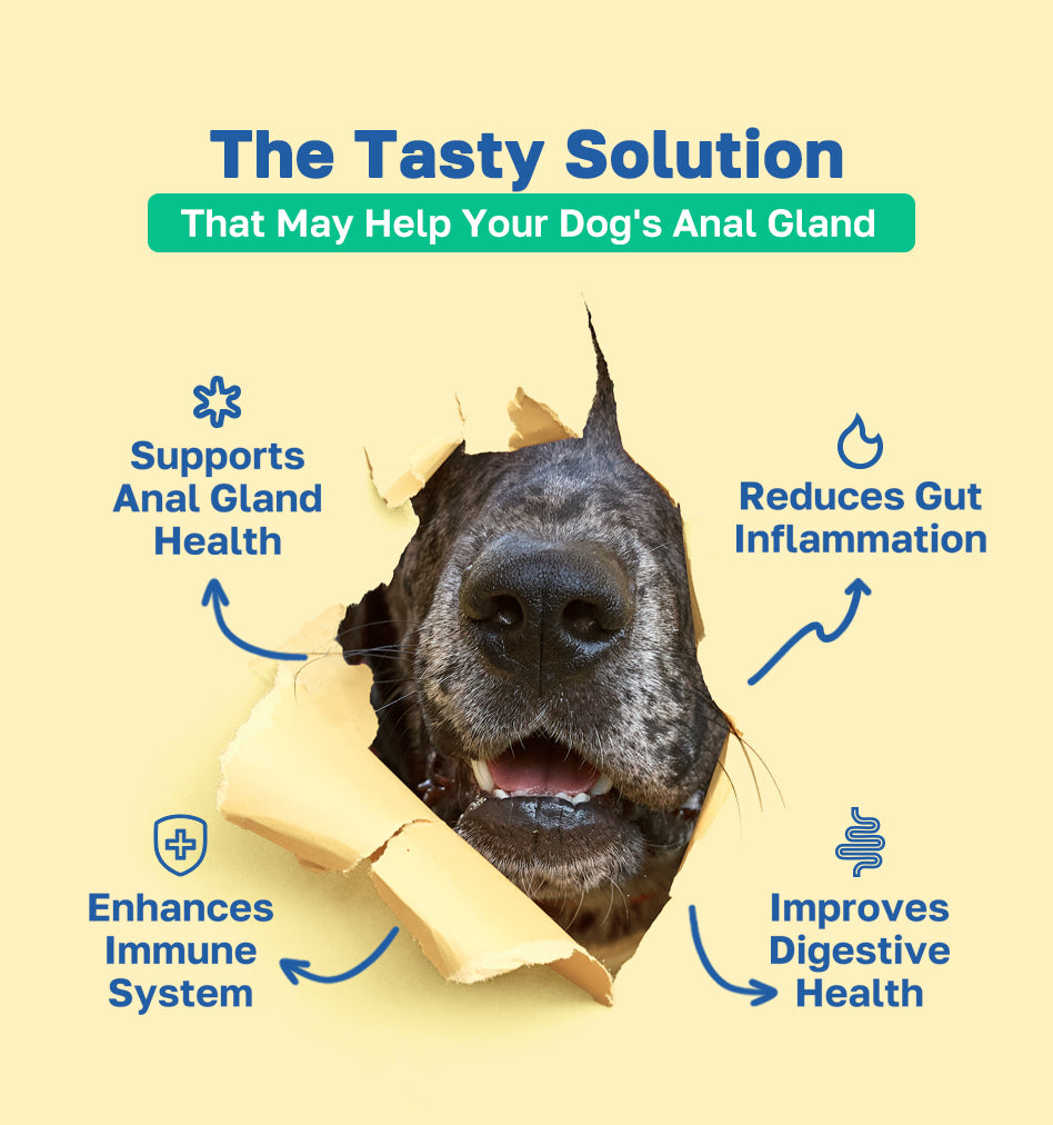 Scoot Stop the tasty solution pdp image 