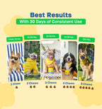 Probiotic Dog Supplement | Gastrointestinal Support