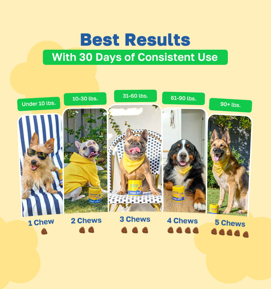 Probiotic Dog Supplement | Gastrointestinal Support