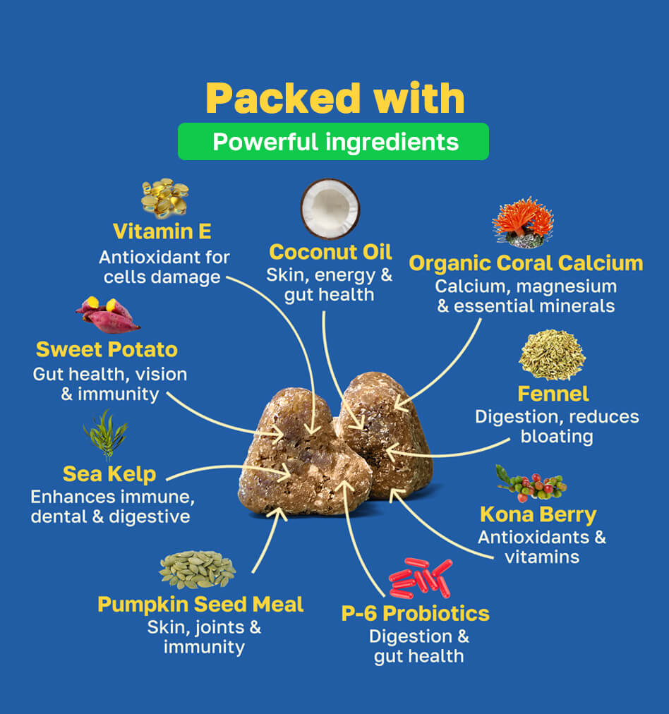 Probiotic Dog Supplement | Gastrointestinal Support