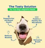 Probiotic Dog Supplement | Gastrointestinal Support