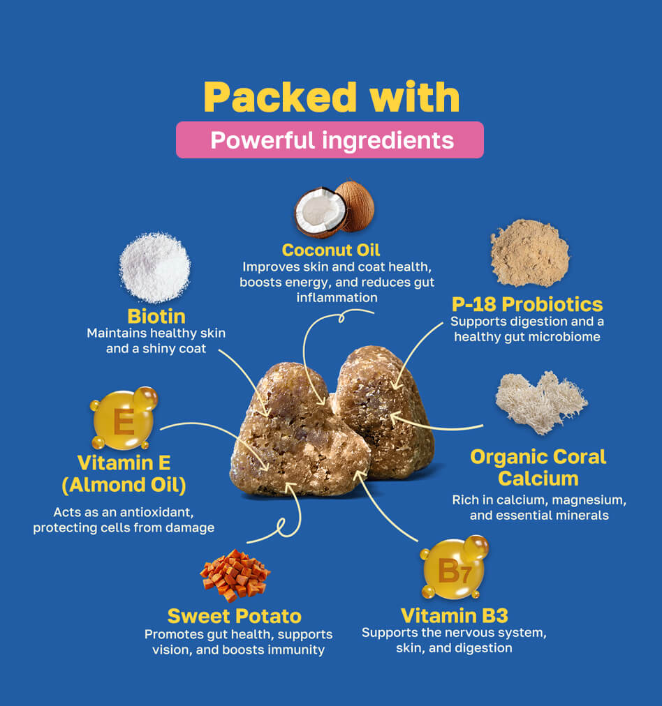 skin and coat packed with ingredients pdp image 