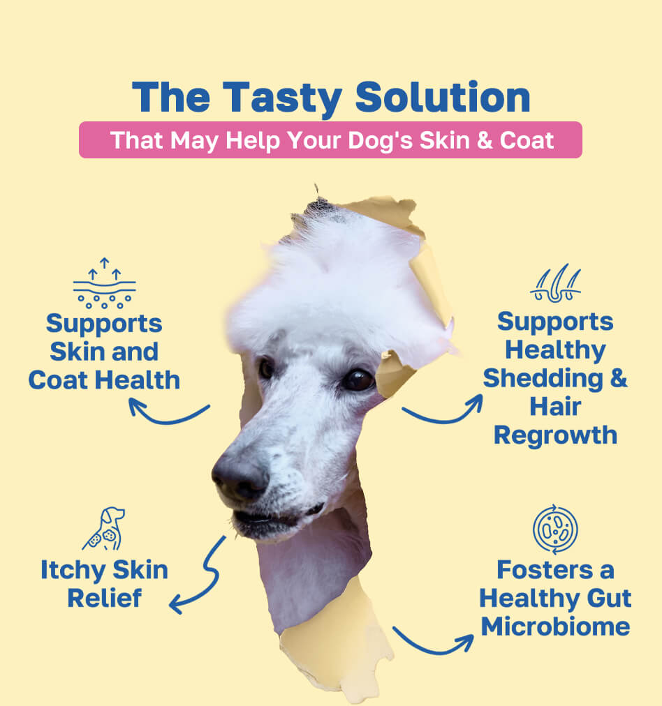 skin and coat the tasty solution pdp image 