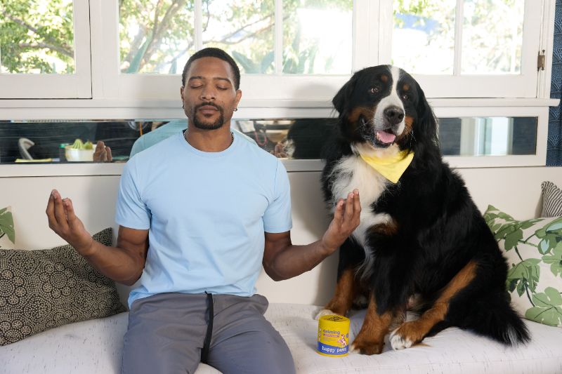  The Benefits of Calming Dog Chews