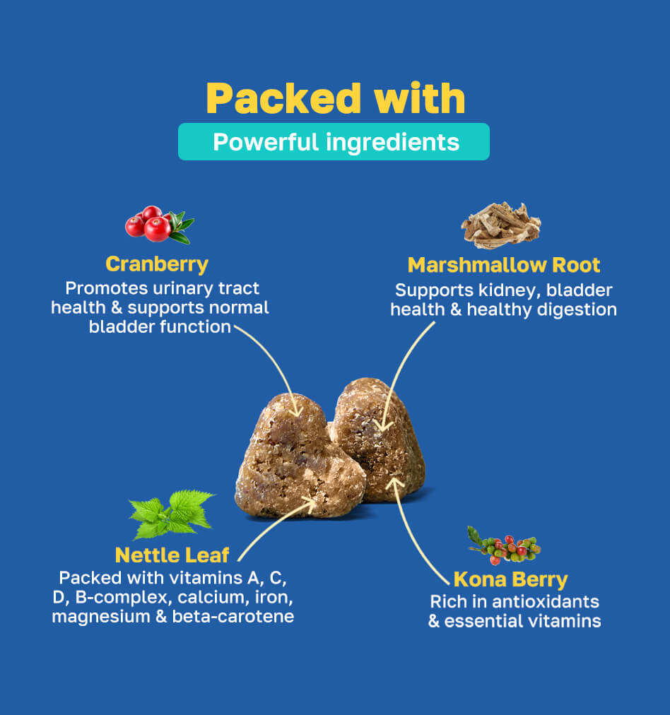 bladder packed with ingredients pdp image