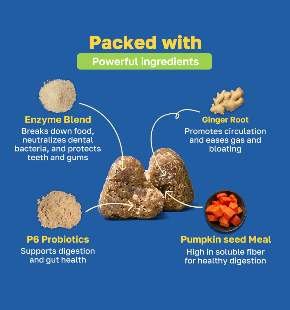 digestive packed with ingredients pdp image