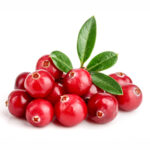 Cranberry