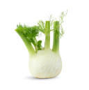 Ingredient ImageFennel