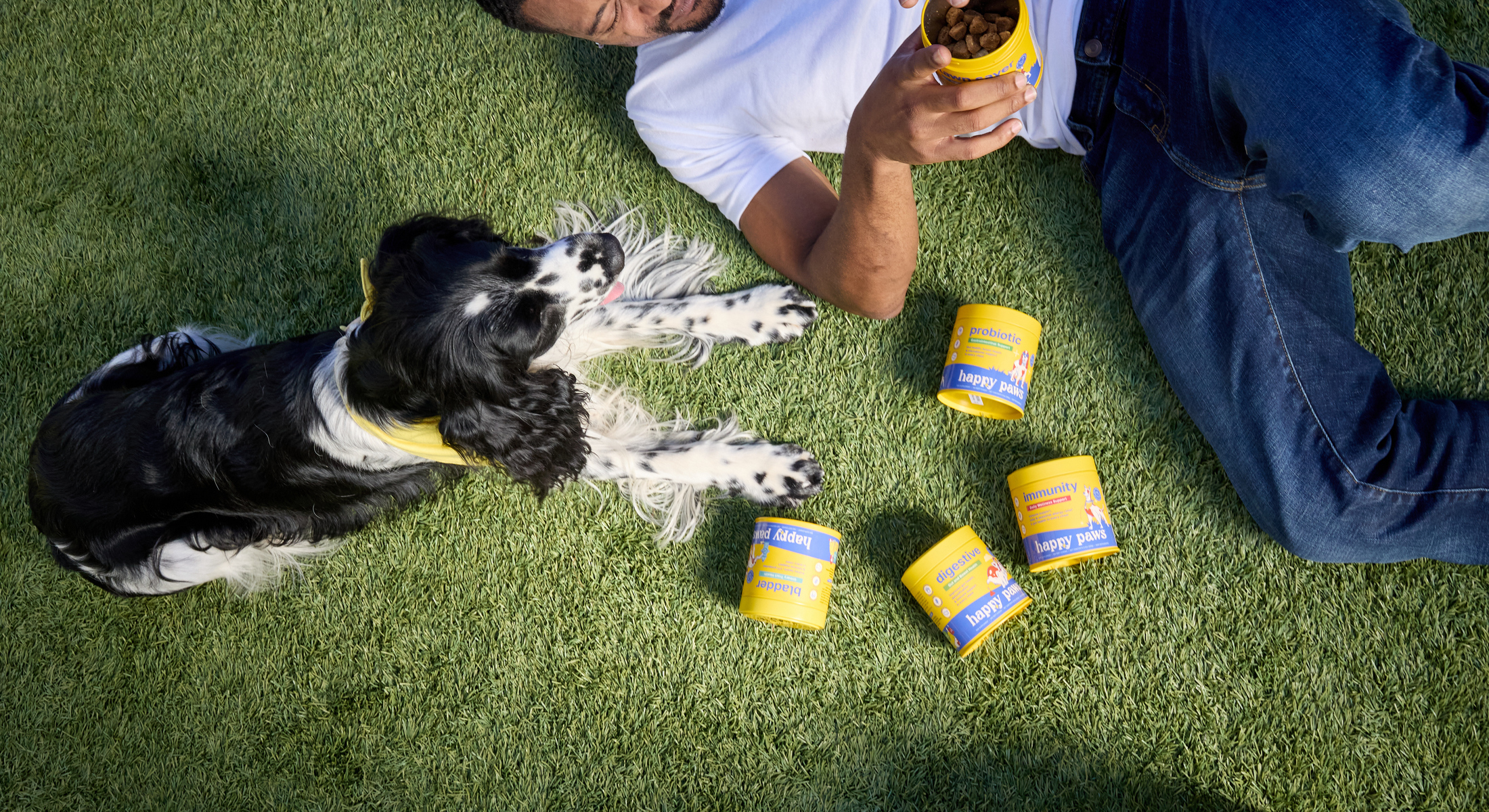 BestDogSupplementforOlderDogs