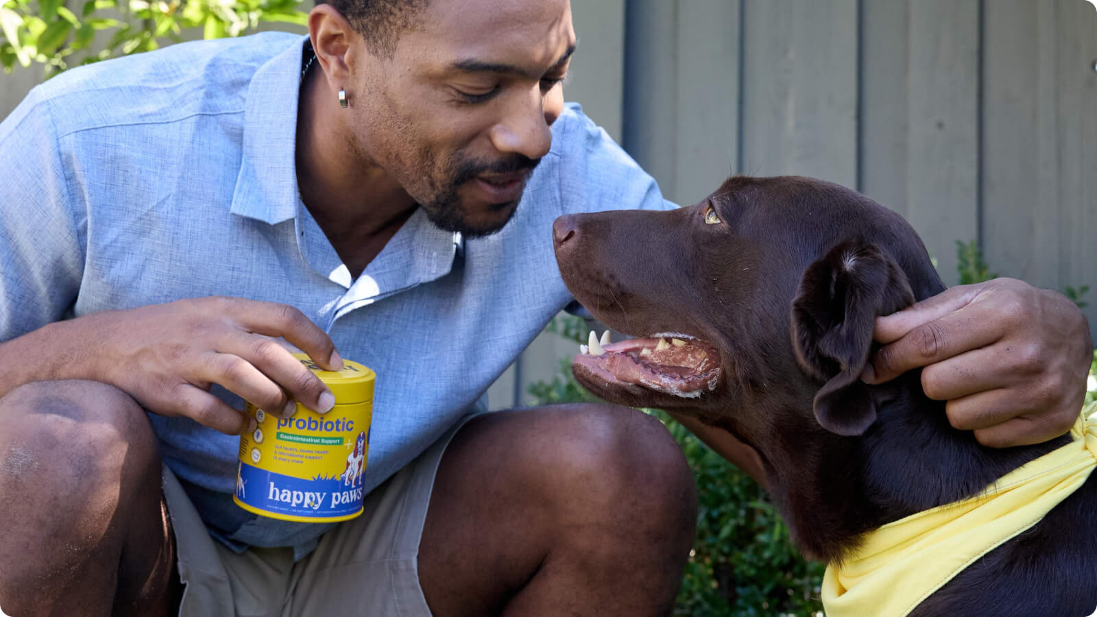 Signs Your Dog Might Need a Probiotic Supplement  ()